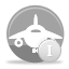 Very Large aircraft operator - Level 1
