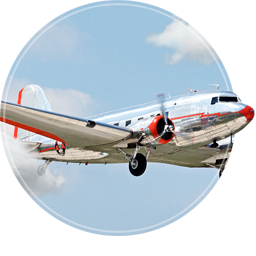 History and the Future [2026->]